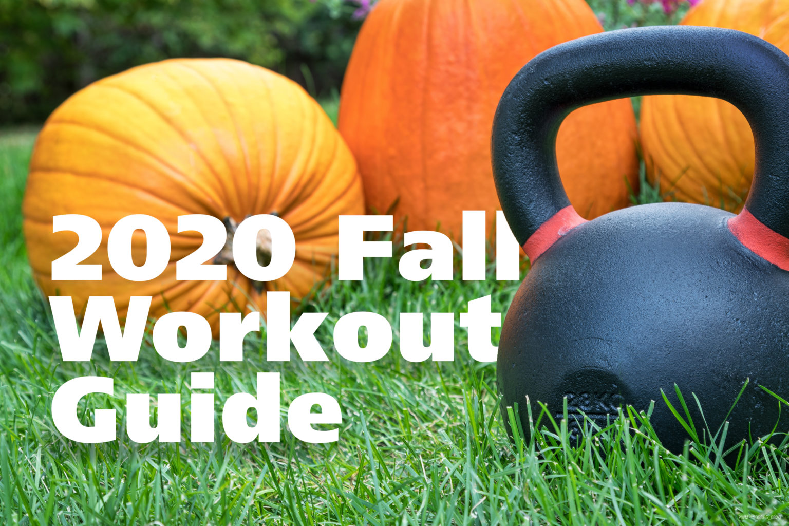 2020 Fall Workout Guide Lecom Medical Fitness And Wellness Center
